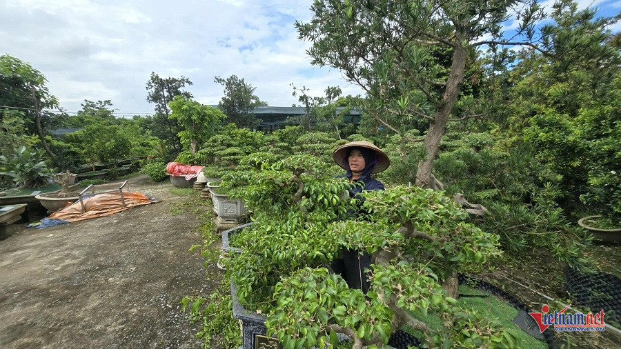 W-39c2ac15 0131 43d7 bdc5 9676cc58e14e.jpg