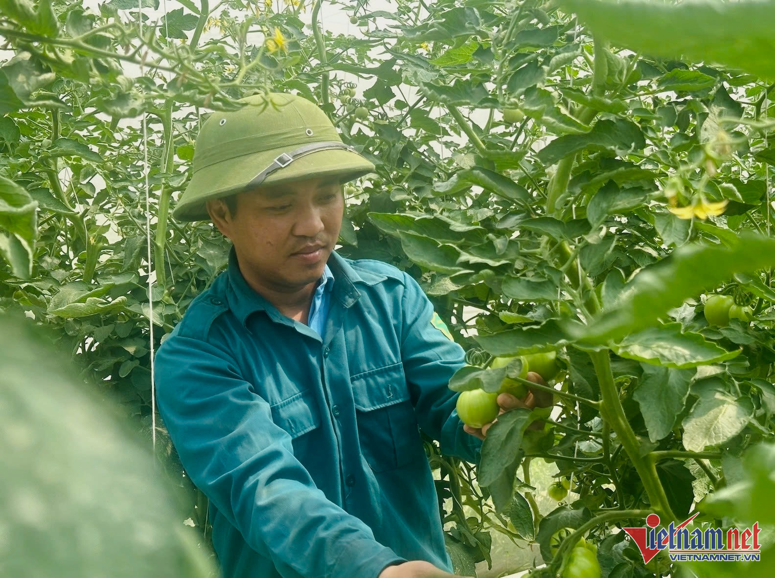 W-điện biên 111.jpg