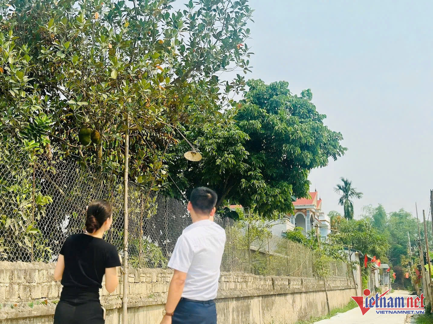 W-điện biên.jpg