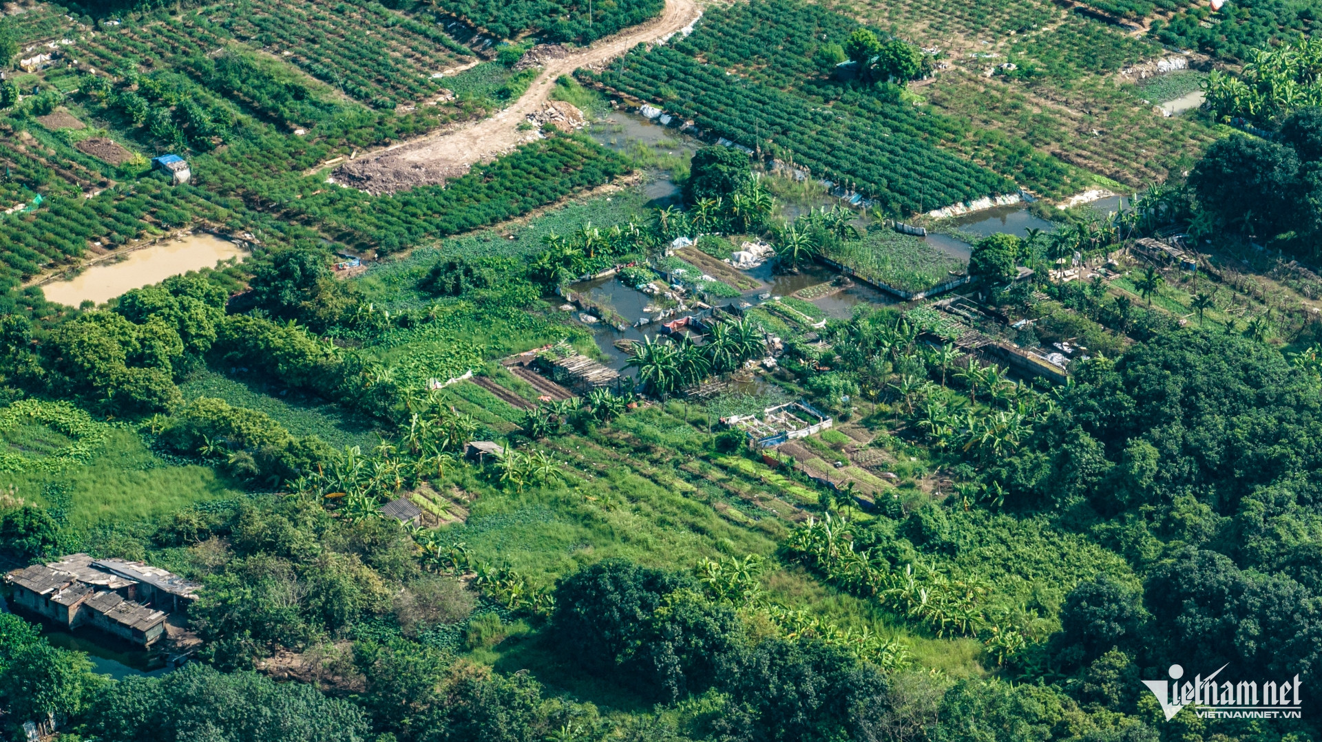 W-du an cham tien do 10.jpg