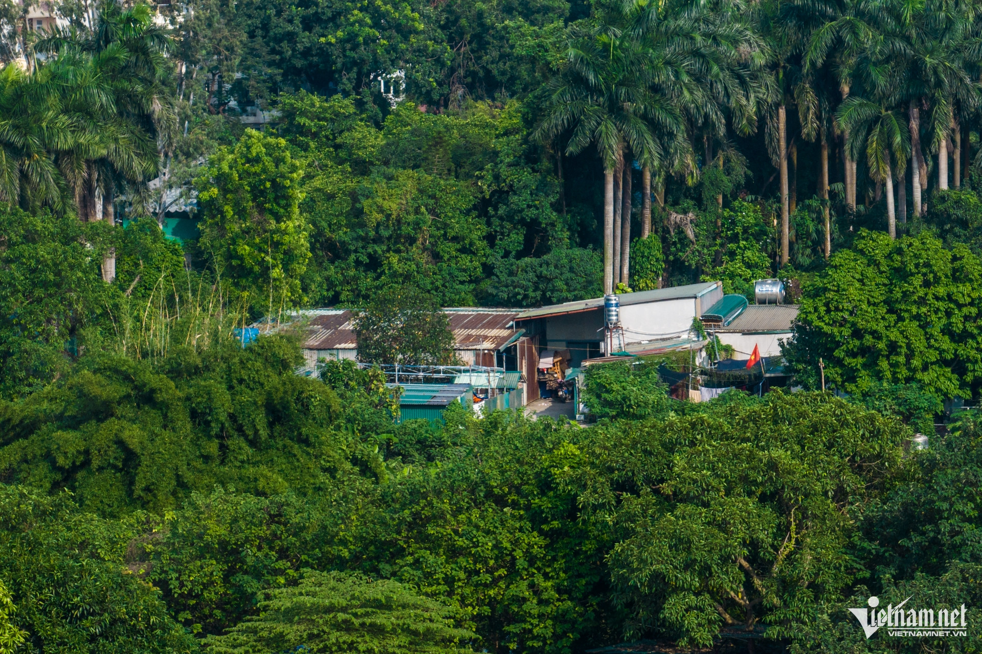 W-du an cham tien do 19.jpg