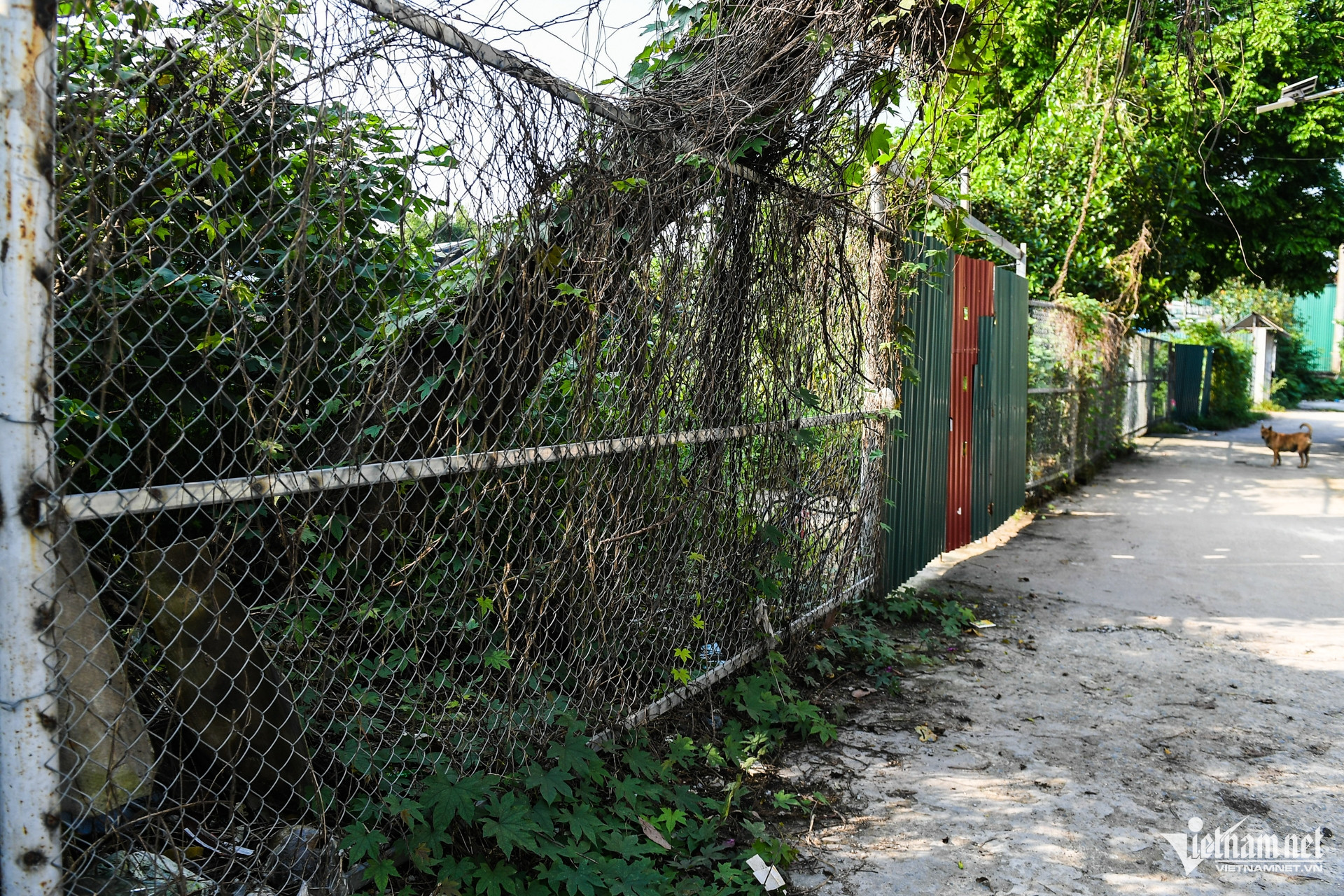 W-du an cham tien do.jpg