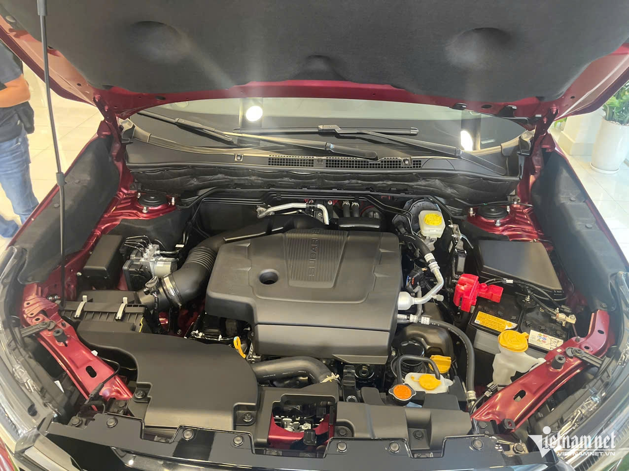 W-Forester dong co.jpg