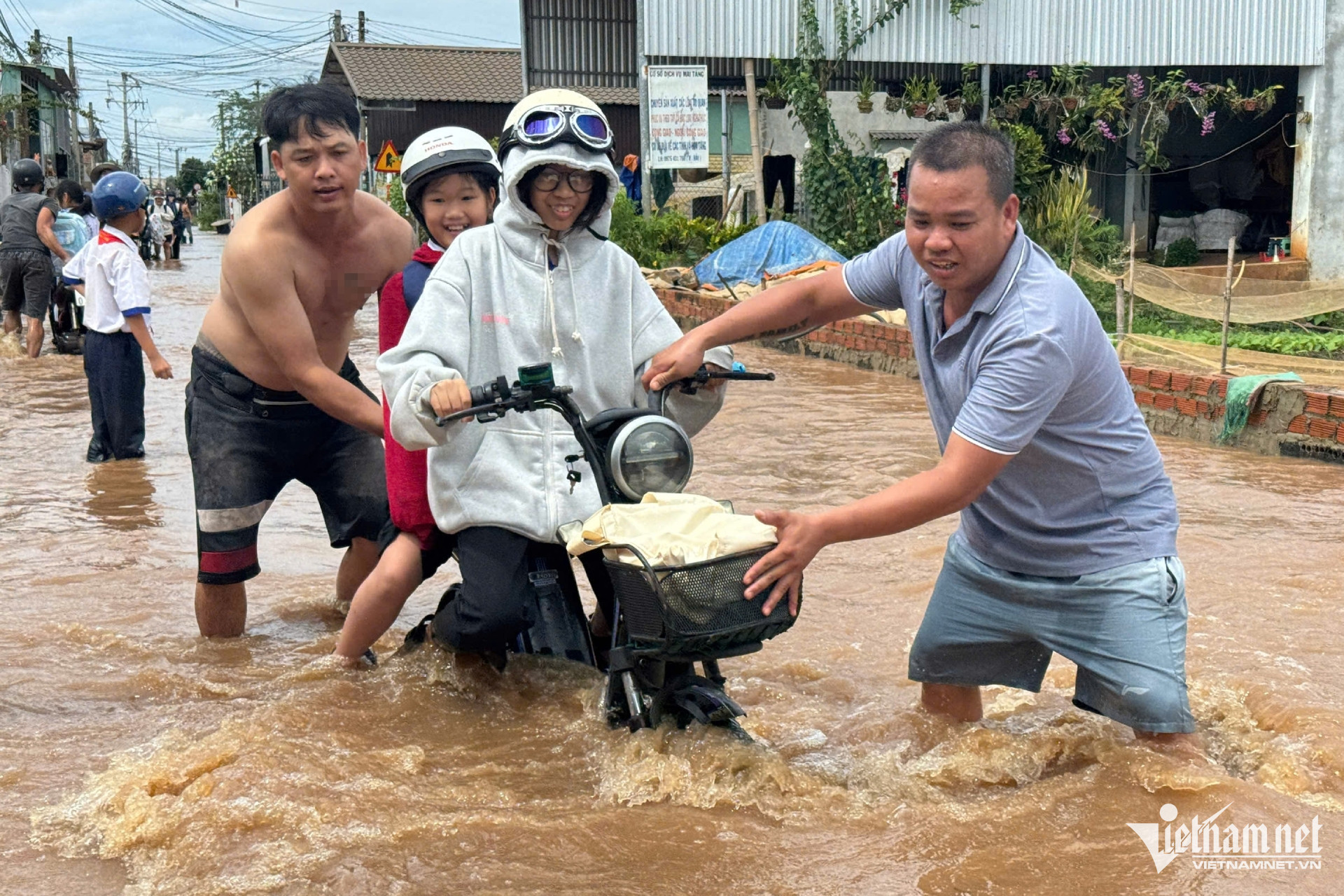 W-ngap dong nai (2).jpg
