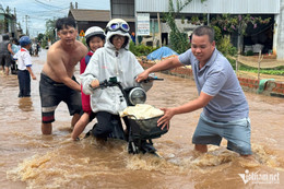 W-ngap dong nai (2).jpg