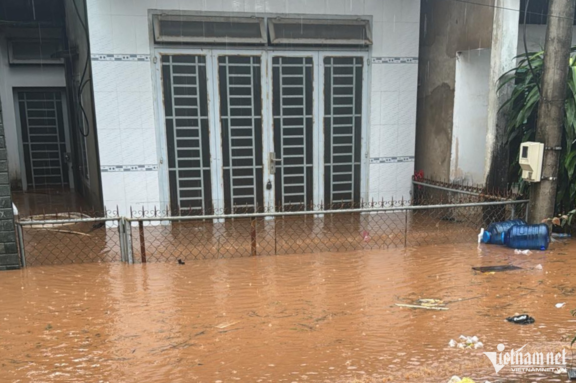 W-ngap dong nai (5).jpg