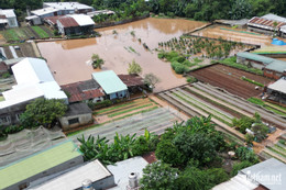 W-ngap dong nai (6).jpg