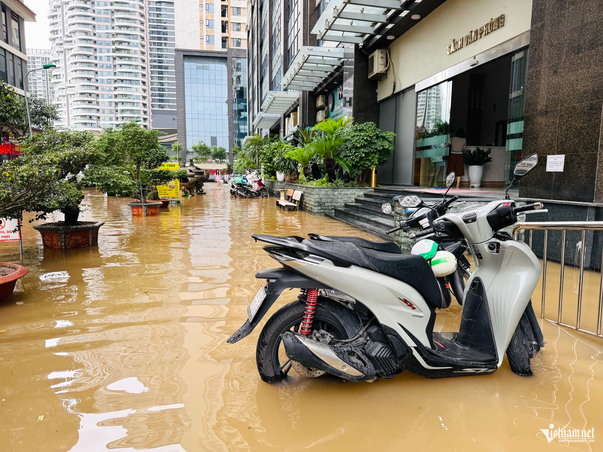 W-ngap ngoai giao doan vietnamnet 8.jpg