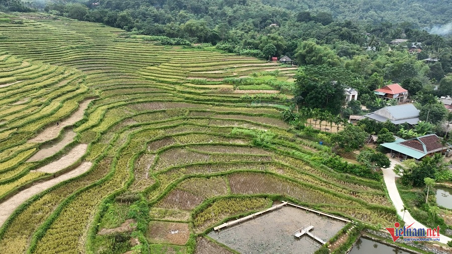 W-Nông thôn mới.jpg