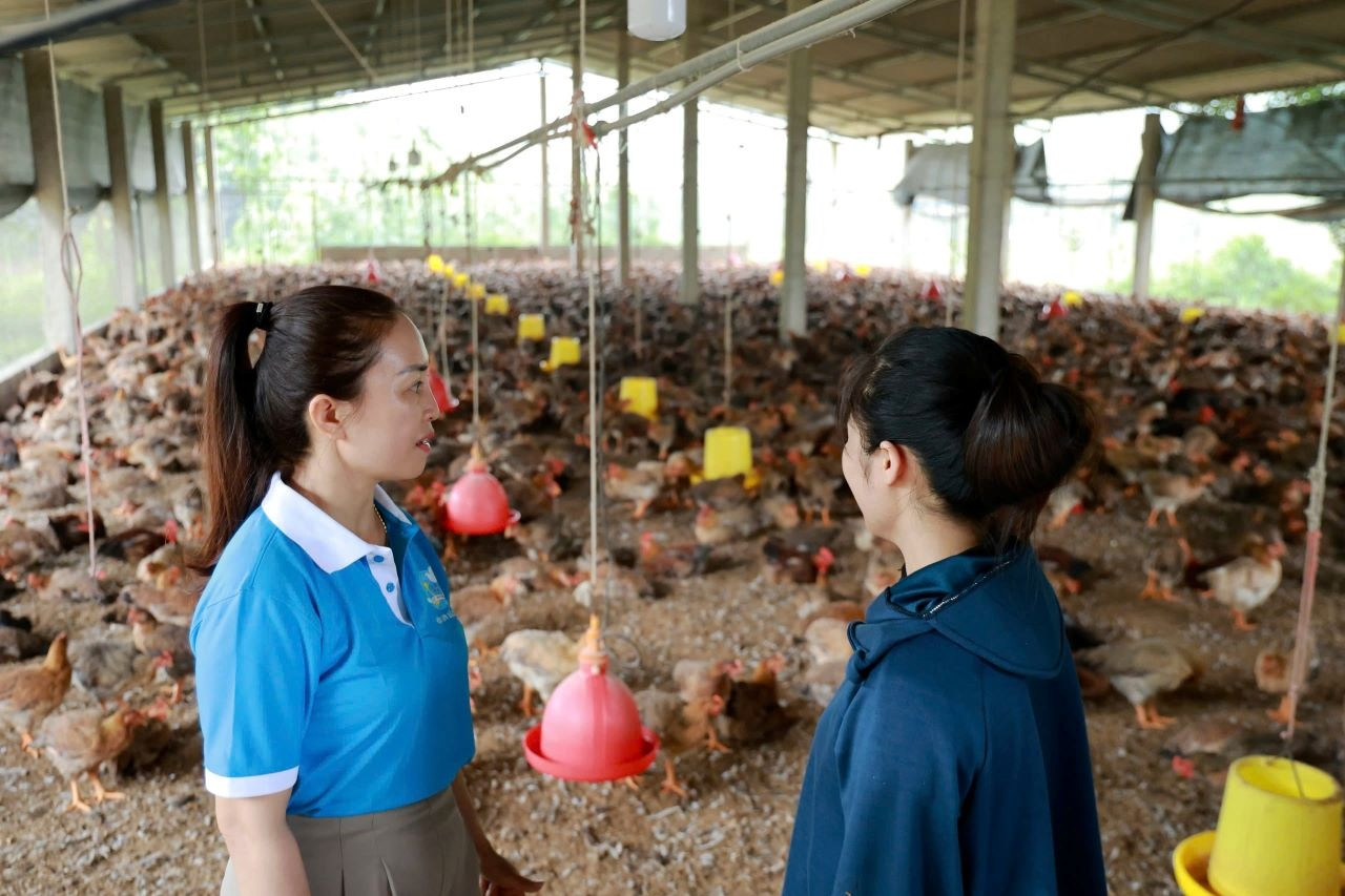 Xã Phú Trung xây dựng nông thôn mới gắn với tạo việc làm bền vững