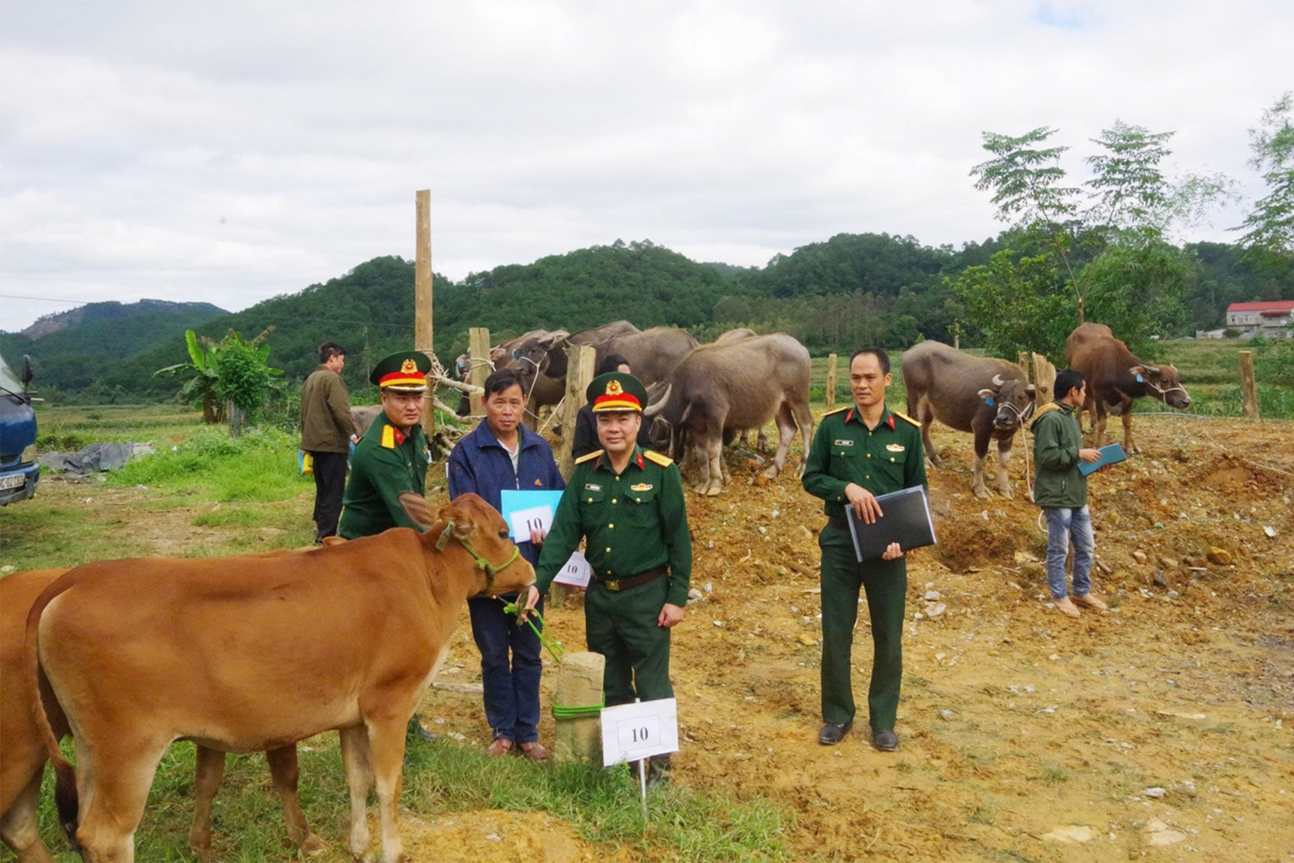 Đoàn Kinh tế - Quốc phòng 338 bàn giao con giống cho đồng bào DTTS tỉnh Lạng Sơn