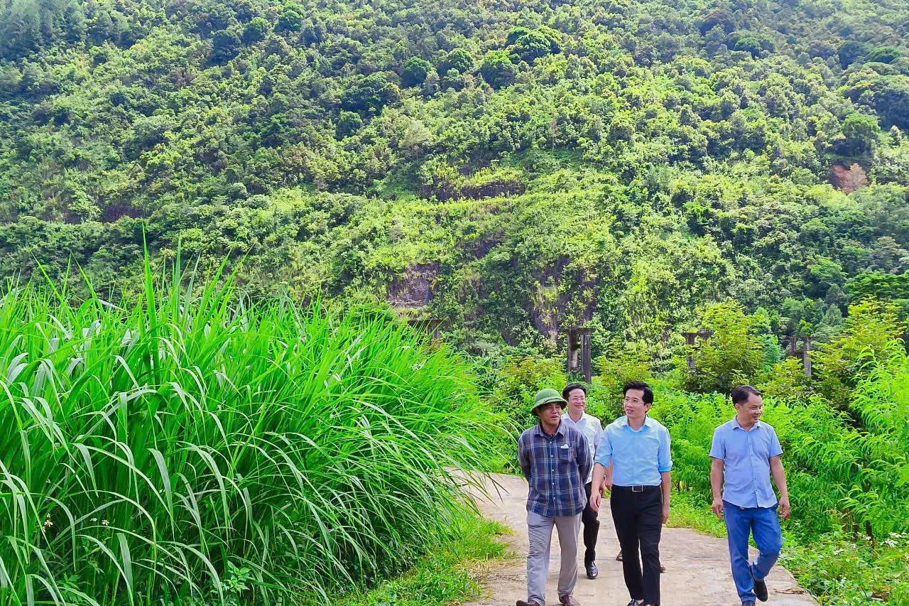 Khi nông sản và chuyển đổi số cùng viết nên khát vọng vùng cao