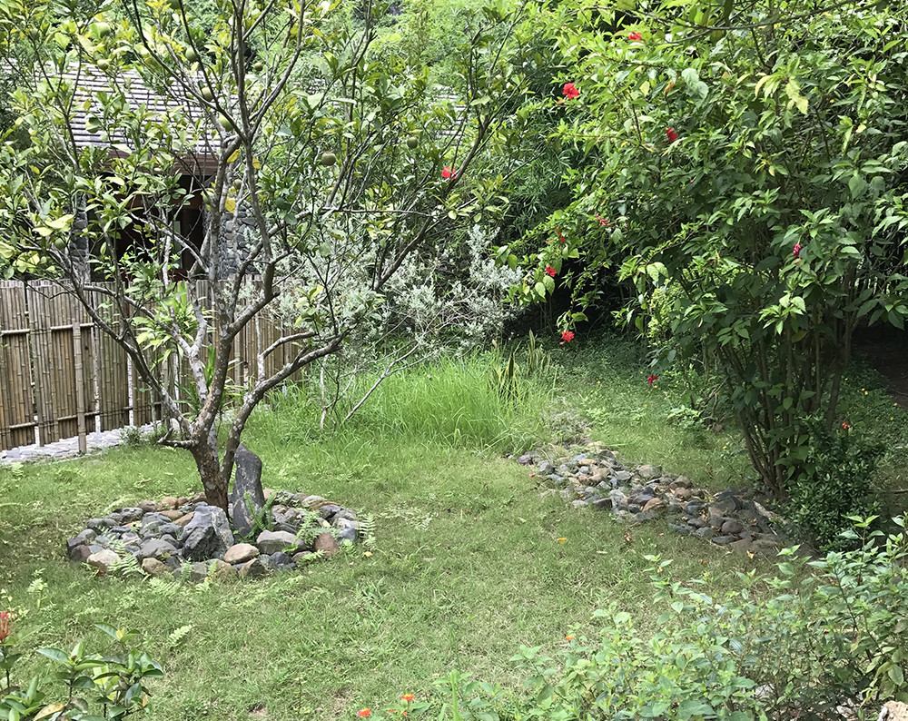 ve que trong rau.jpg