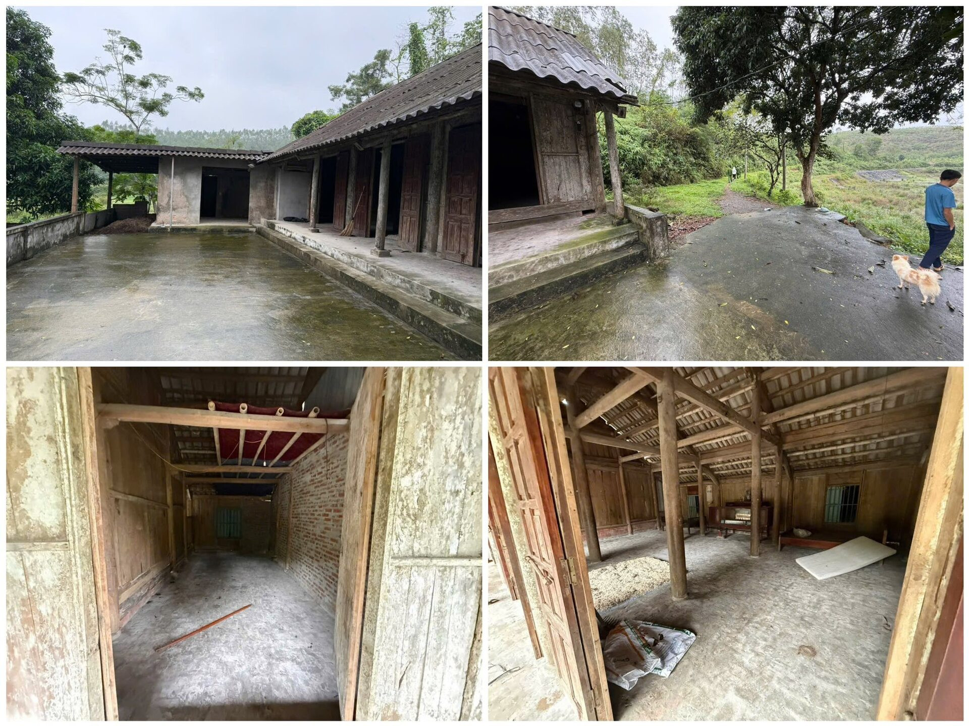 581796175_1161610642766154_8025628887203475970_n (1).jpg