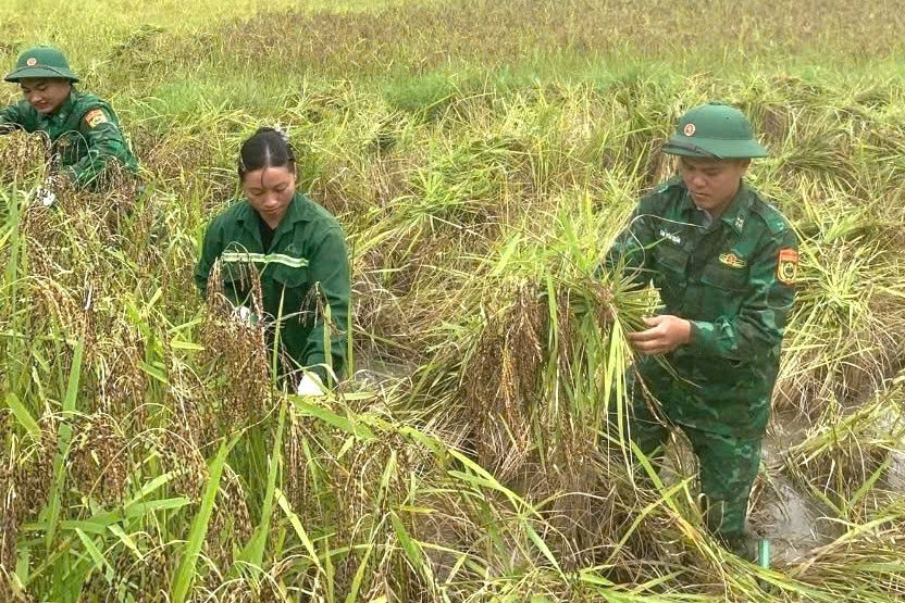 Bộ đội Biên phòng cùng đồng bào biên giới dựng xây nông thôn mới
