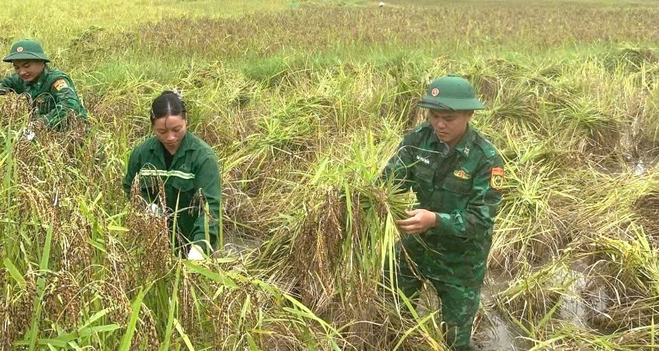 Bộ đội Biên phòng cùng đồng bào biên giới dựng xây nông thôn mới