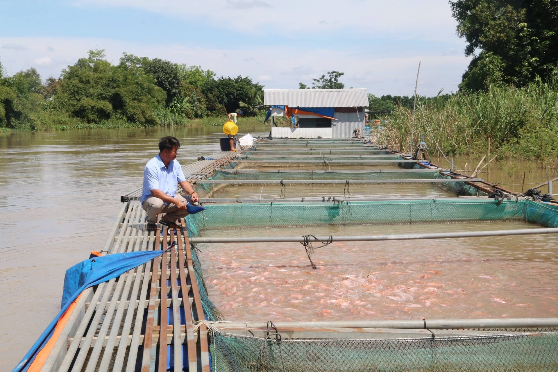 Đồng Nai ứng dụng công nghệ cao trong thủy sản, giúp tăng sản lượng và doanh thu