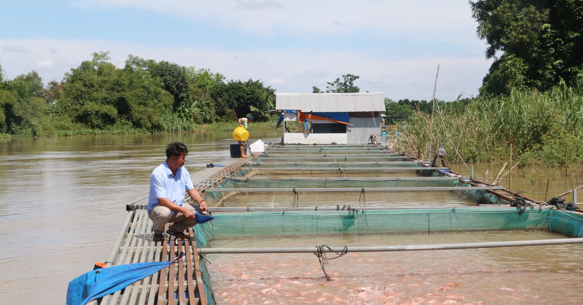 Đồng Nai ứng dụng công nghệ cao trong thủy sản, giúp tăng sản lượng và doanh thu