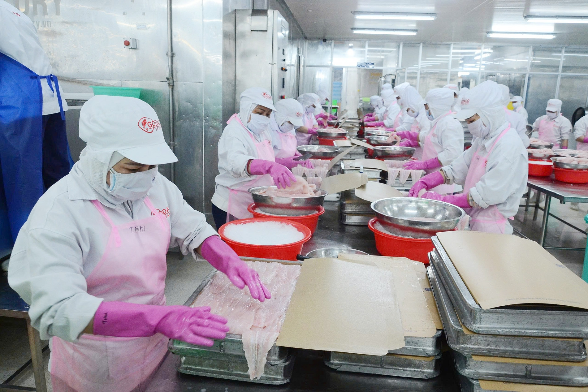 Đồng Tháp tăng tốc công nghiệp, hướng tới nền kinh tế xanh và bền vững