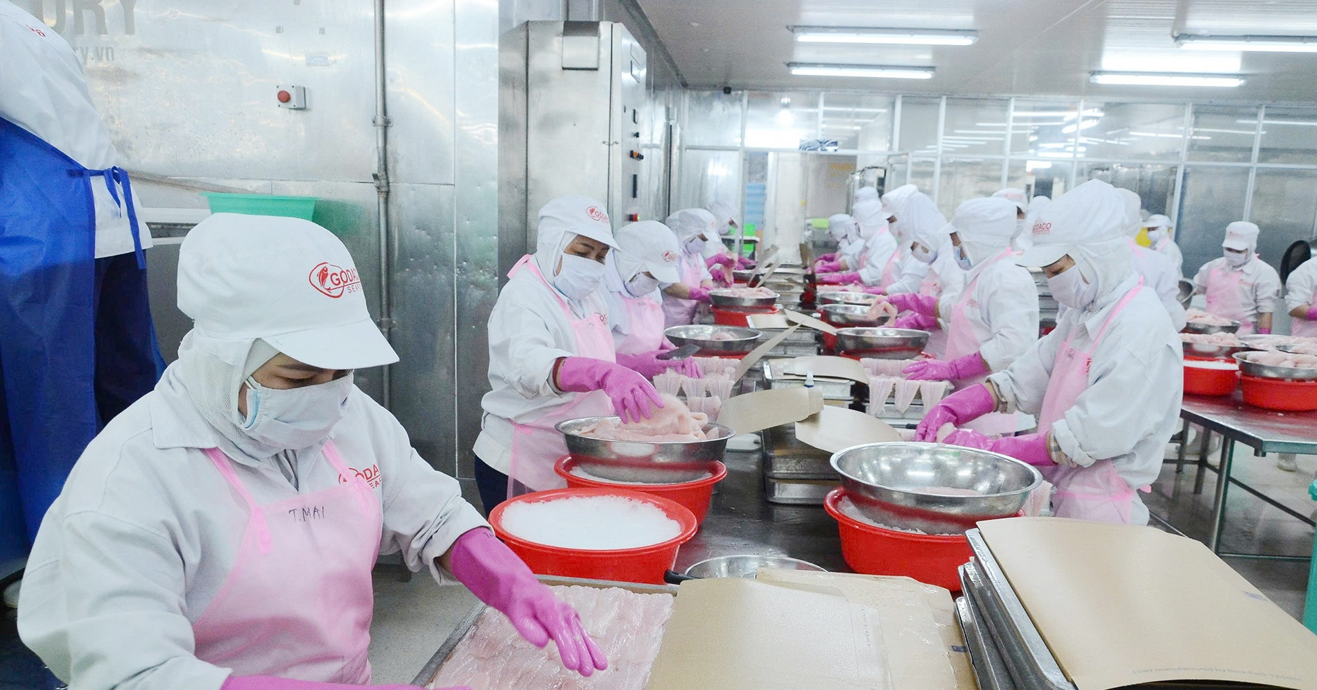 Đồng Tháp tăng tốc công nghiệp, hướng tới nền kinh tế xanh và bền vững