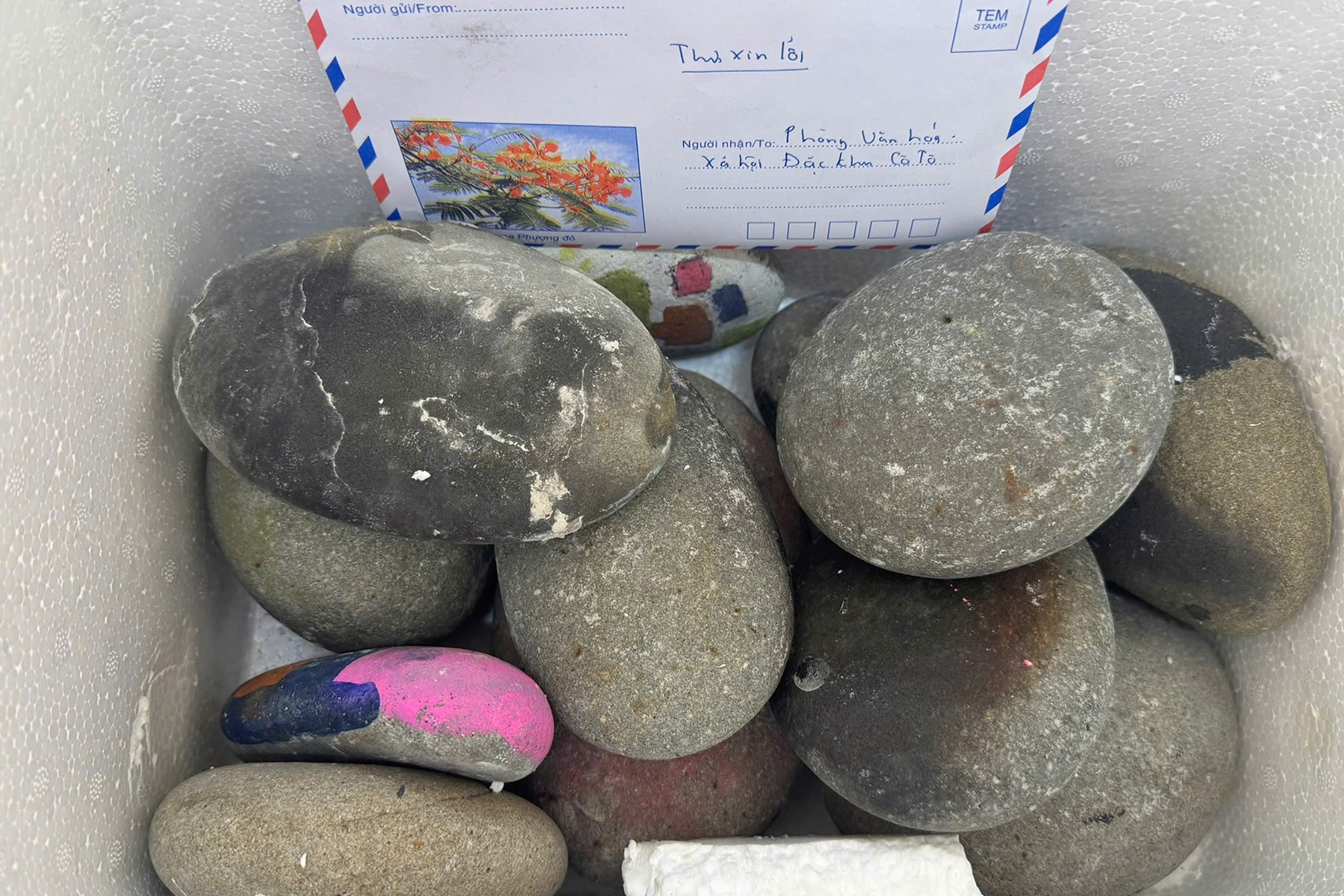 Du khách trả lại đá biển cho Cô Tô sau khi đọc bài trồng san hô trên VietNamNet