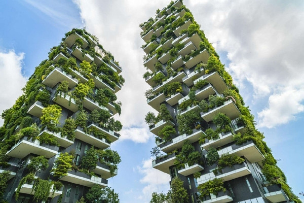 Giữ giá và an toàn trong thảm họa: Bí mật từ những 'công trình xanh'