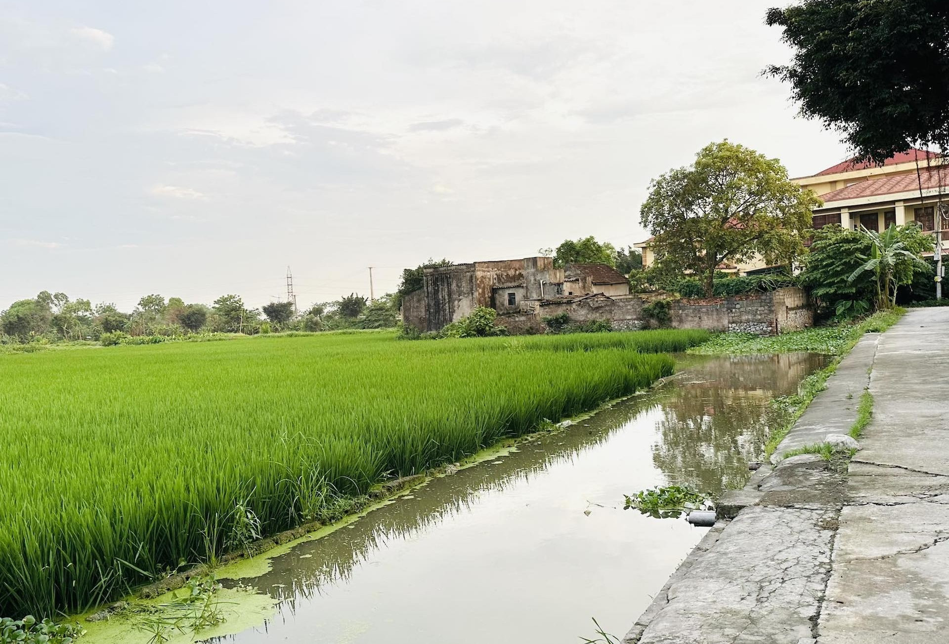 Muốn xây nhà trên đất lúa, phải xin phép ở đâu?