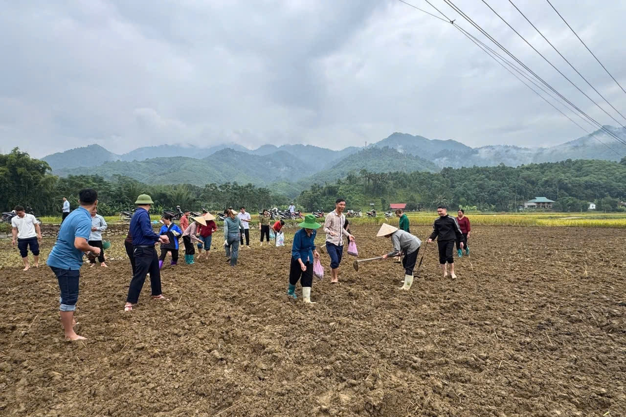 Nâng chất tiêu chí nông thôn mới, xây dựng xã Côn Lôn giàu đẹp