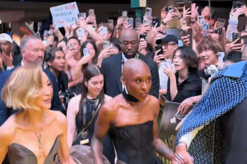 Nữ ca sĩ nổi tiếng hoảng loạn vì fan cuồng lao thẳng vào người giữa sự kiện