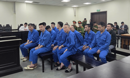 Screenshot at Nov 14 13 52 07.png