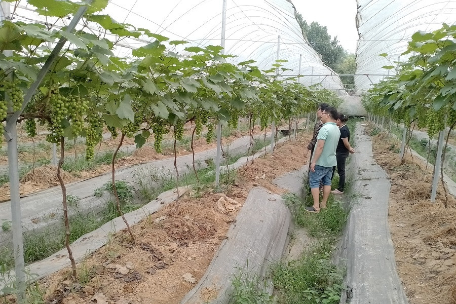 Thạnh Thới An đẩy mạnh tuyên truyền phong trào xây dựng nông thôn mới