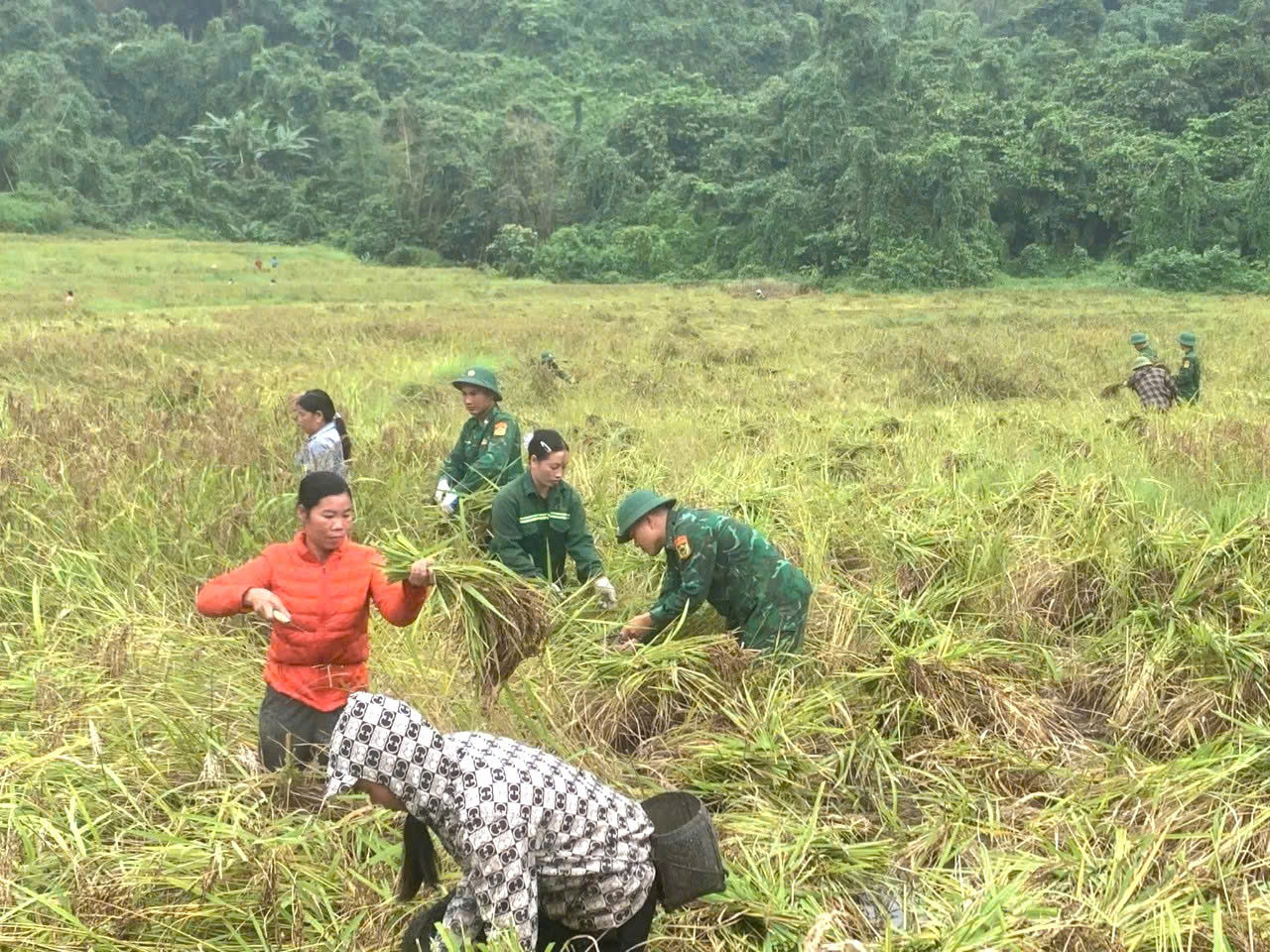 Thu Thảo ảnh 1.jpg