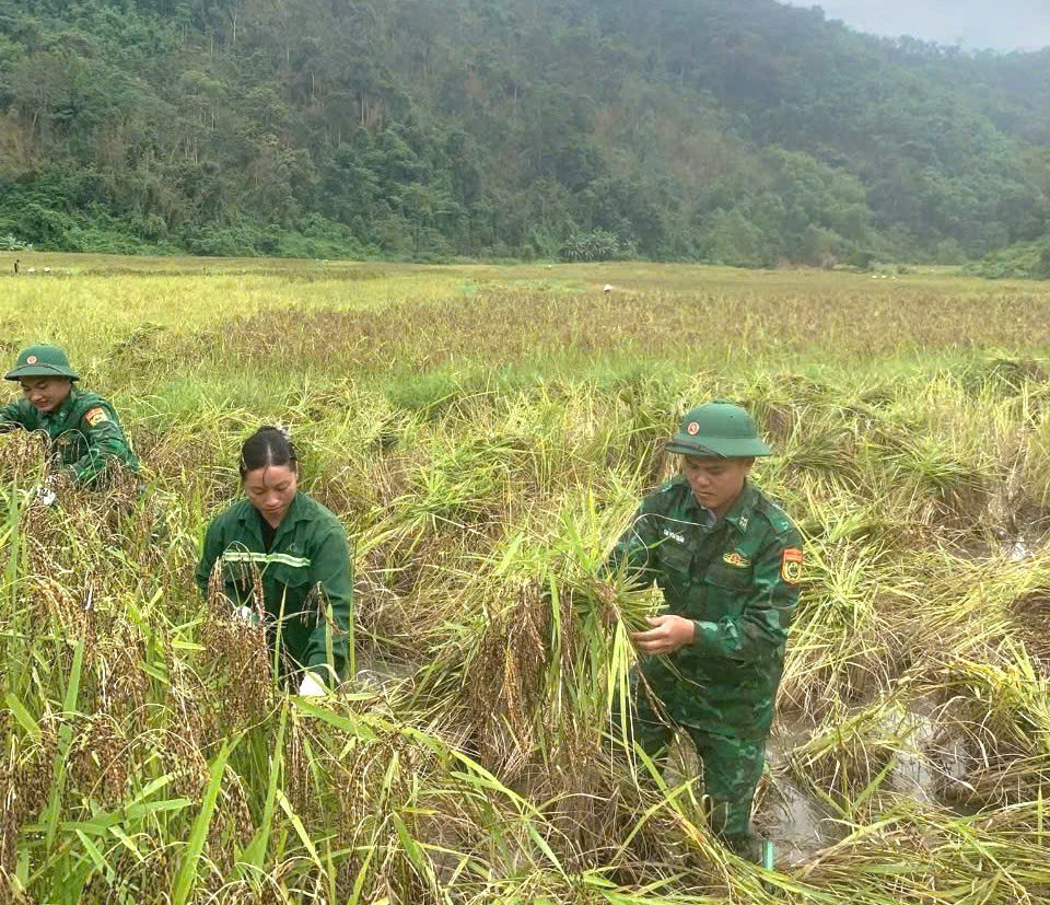 Thu Thảo ảnh 2.jpg