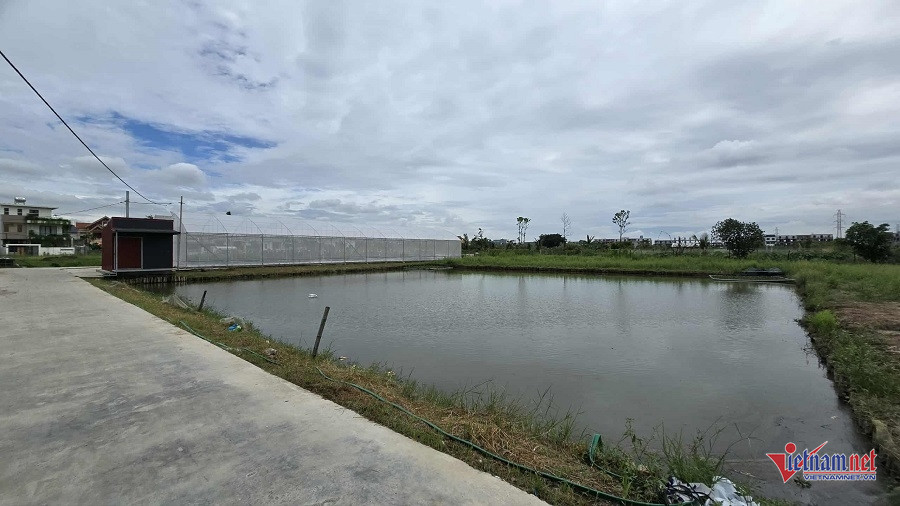 W-7fb7fe21 2f10 47da bff6 550254bd0a15.jpg