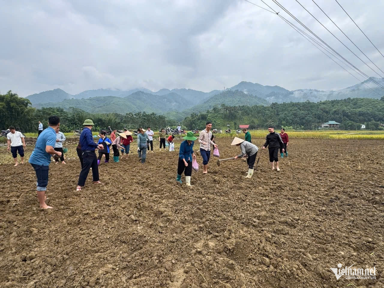 W-anh xa con lon.jpg