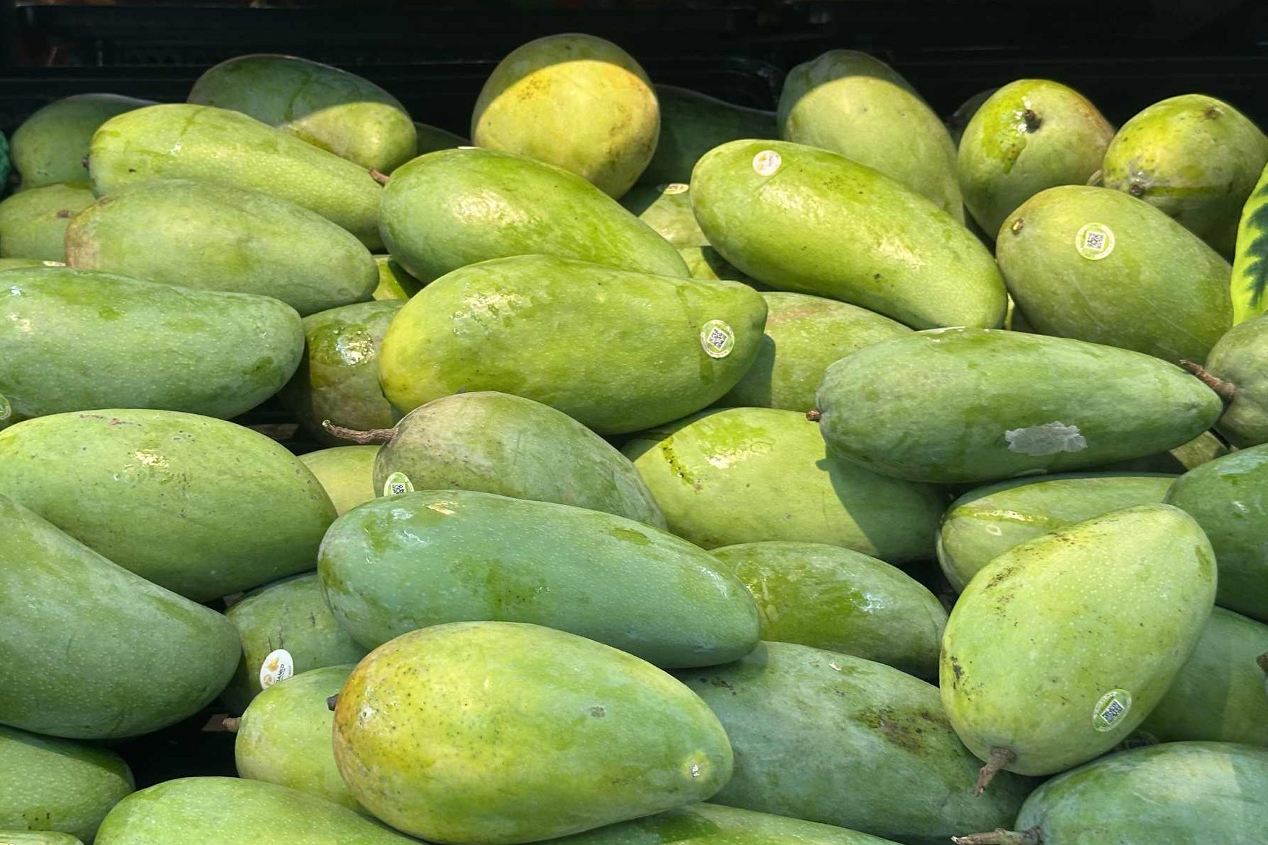 6 loại quả giàu vitamin E, tốt cho tim, não