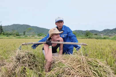 Khách Pháp sáng gánh lúa trĩu vai, chiều còng lưng cào ngao trên đảo Quảng Ninh