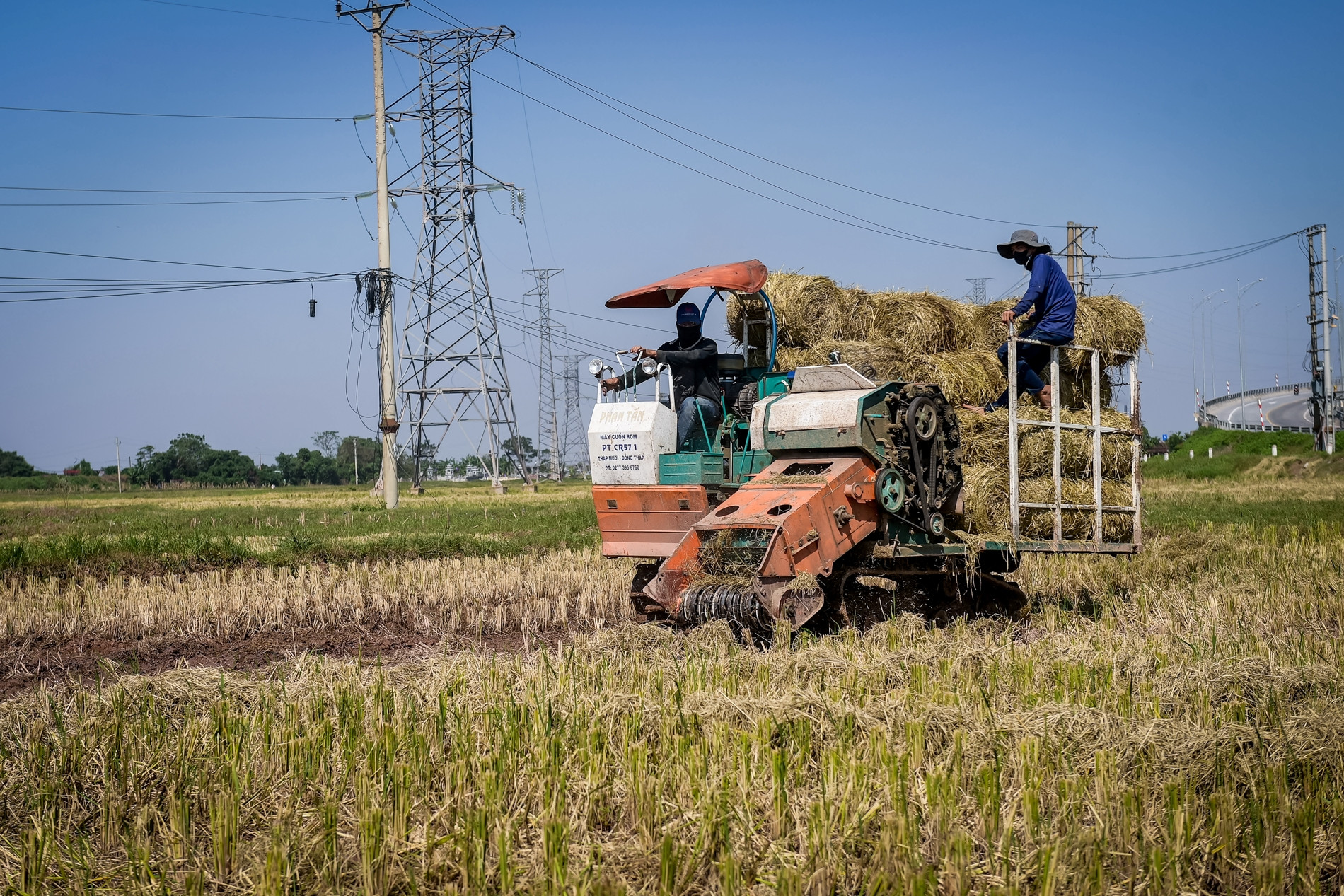 Từ rơm rạ thành ‘vàng’: Nông dân Ninh Bình kiếm trăm triệu mỗi mùa gặt