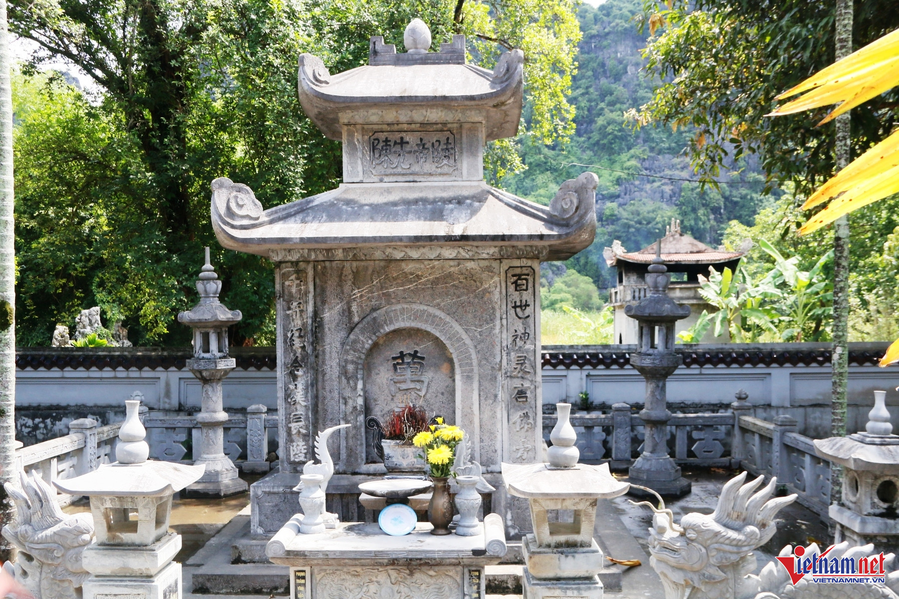 W-Thái vi 10.JPG.jpg