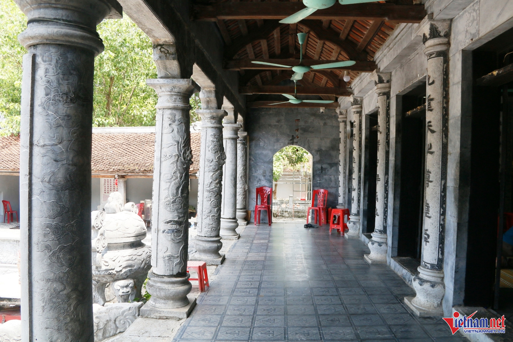 W-Thái vi 6.JPG.jpg