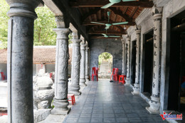 W-Thái vi 6.JPG.jpg