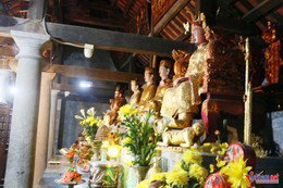 W-Thái vi 7.JPG.jpg