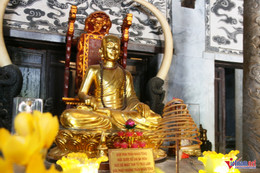 W-Thái vi 8.JPG.jpg