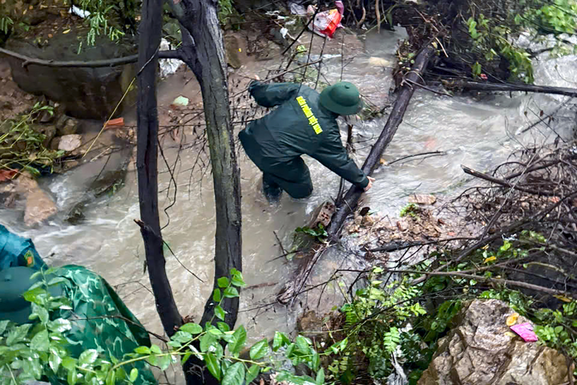 2563069880797270500 (1).jpg