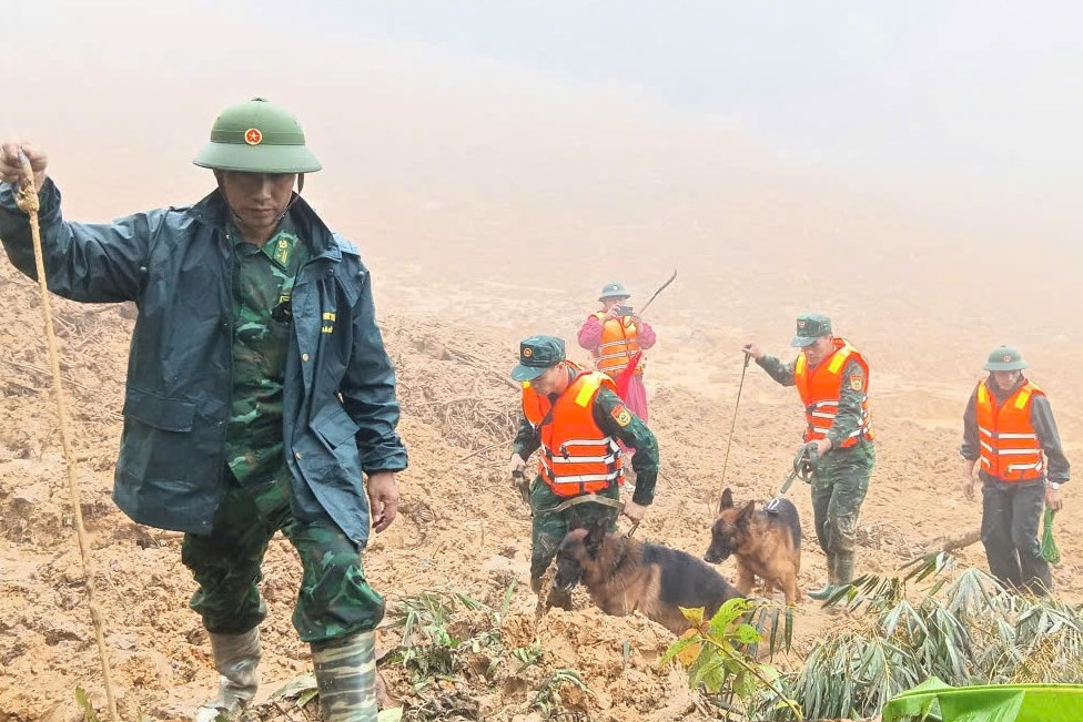 Huy động chó nghiệp vụ tìm 3 nạn nhân nghi bị vùi lấp trong sạt lở ở Đà Nẵng