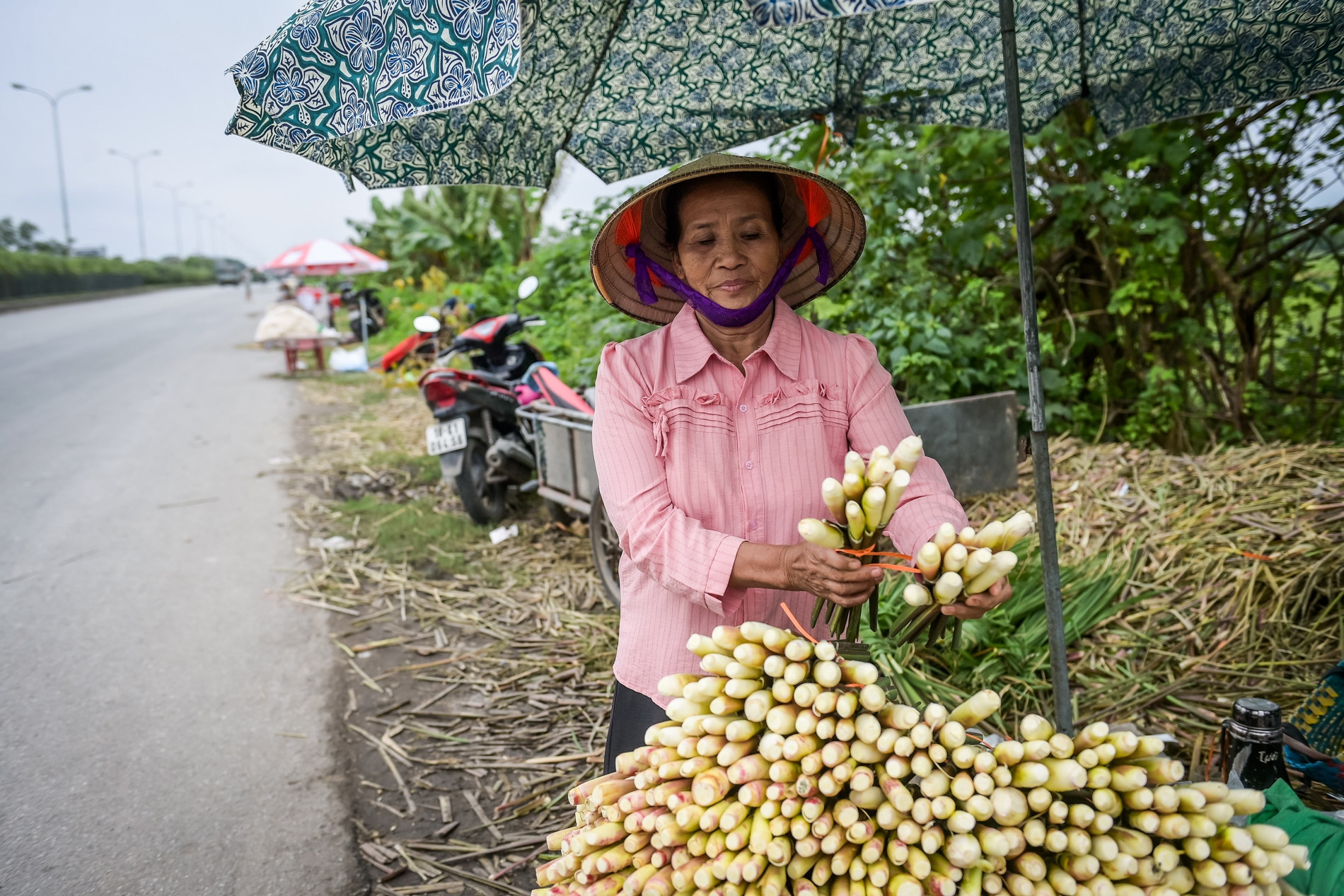 Đặc sản chỉ có một tháng ở Ninh Bình, cho thu nhập gấp 3-4 lần trồng lúa