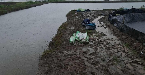 Bản tin chiều 17/11: Hai người tử vong nghi bị sét đánh