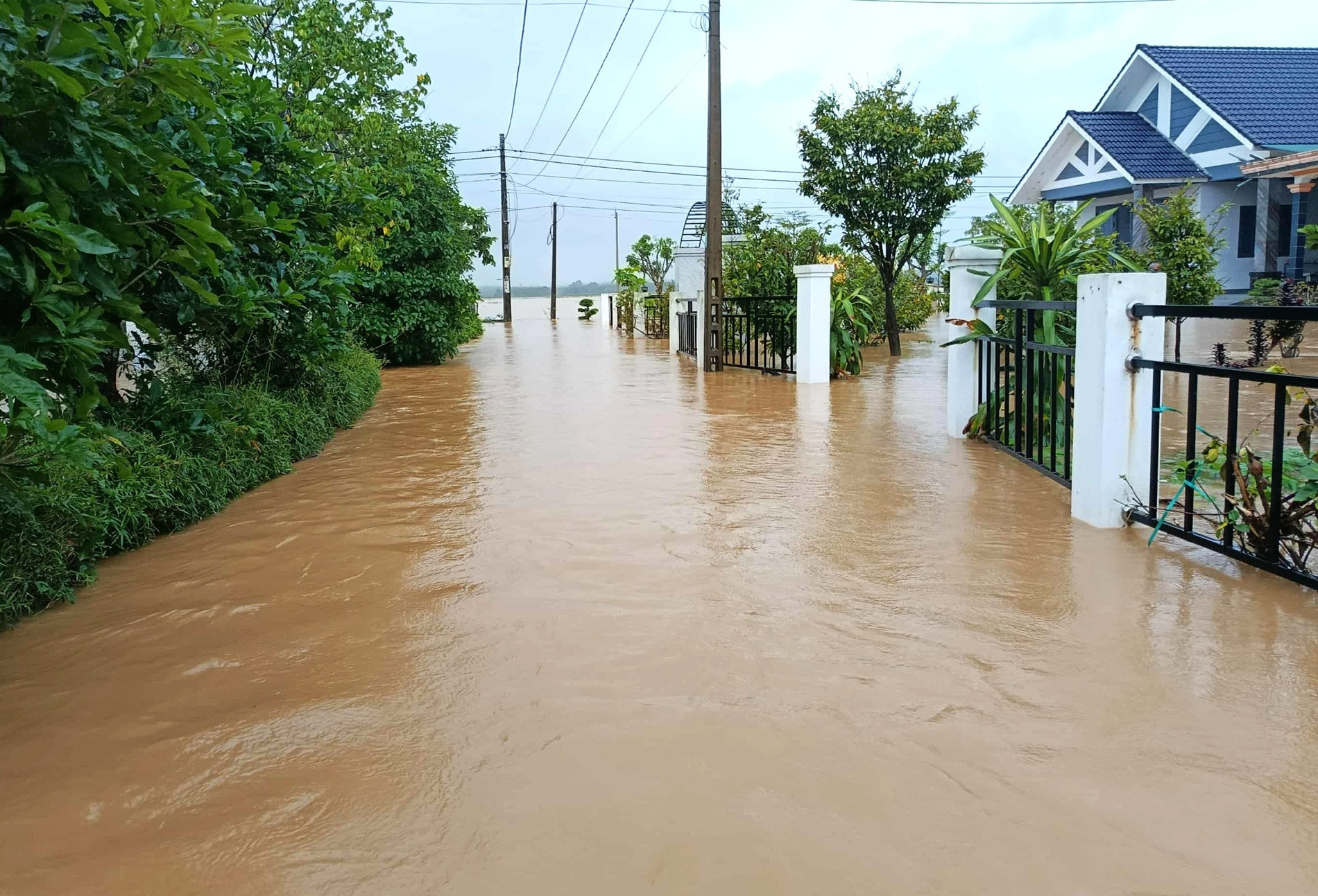 14b1f948 0c31 40c9 9c95 48d205e0392a.jpg