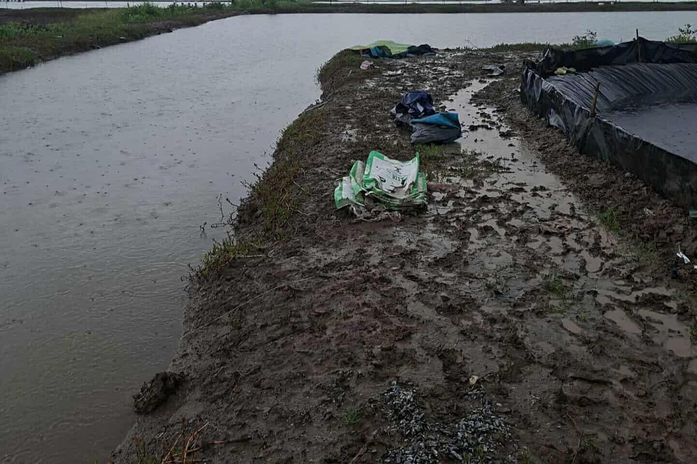 Hai người tử vong nghi bị sét đánh