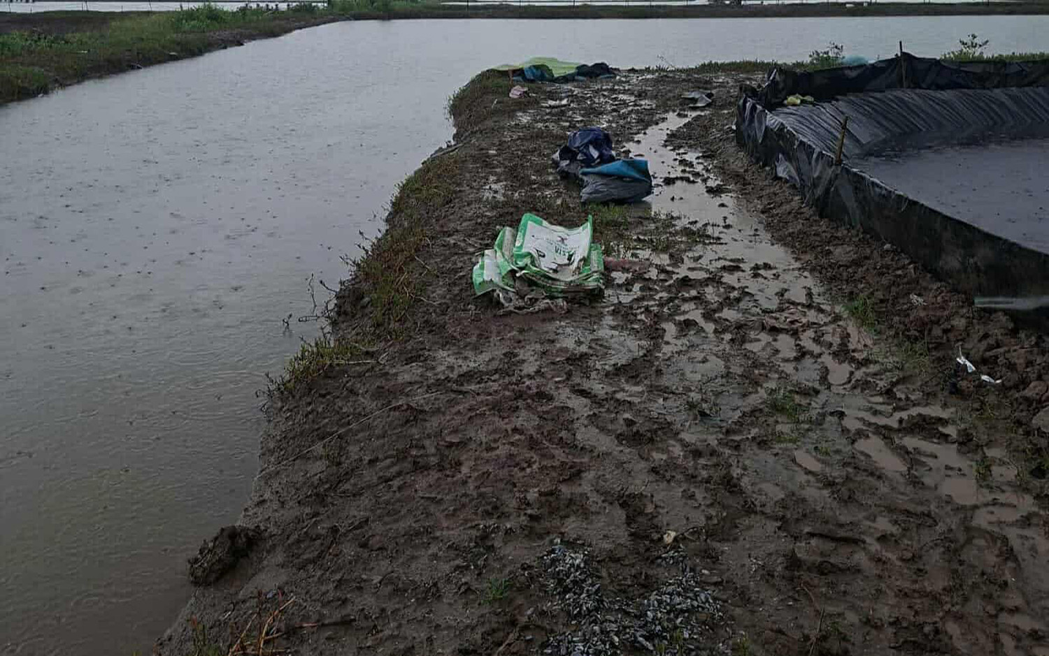 hiện trường 2 người tử vong CM.jpg